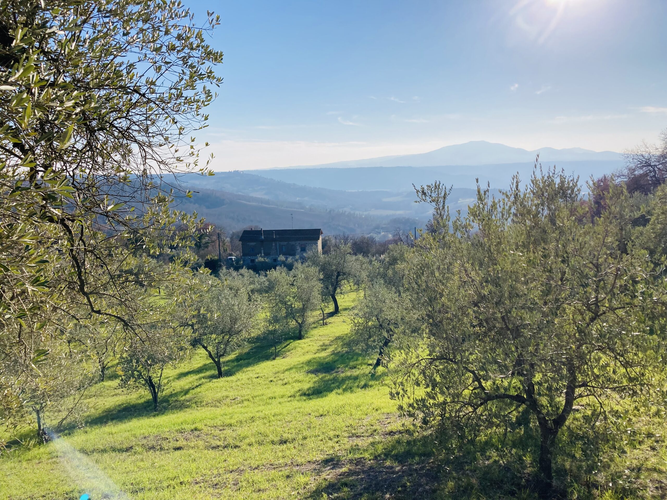 Azienda Agricola Il Marchese Magro Olio Confetture Spezie Frutta Secca